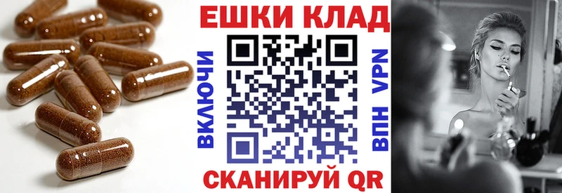 Купить где  Сасово  Экстази диски 