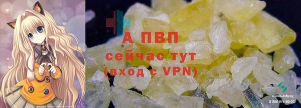 сатива Богородицк