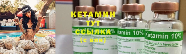сатива Богородицк