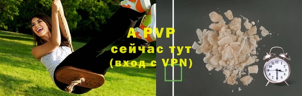 сатива Богородицк
