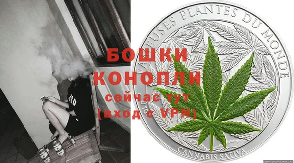 сатива Богородицк