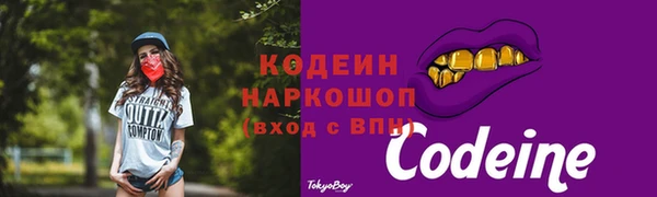 соль ск Богородск