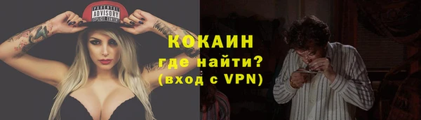 сатива Богородицк