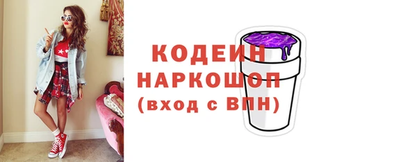 шишки Белоозёрский