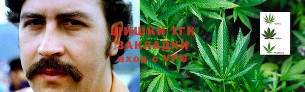 сатива Богородицк
