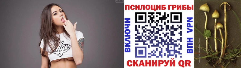 Галлюциногенные грибы мухоморы  Купить  Сасово 